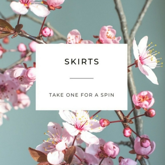 Anthropologie Lithe Layered A-line Swing Silk Lined Skirt - Sz 0 - Picture 7 of 8